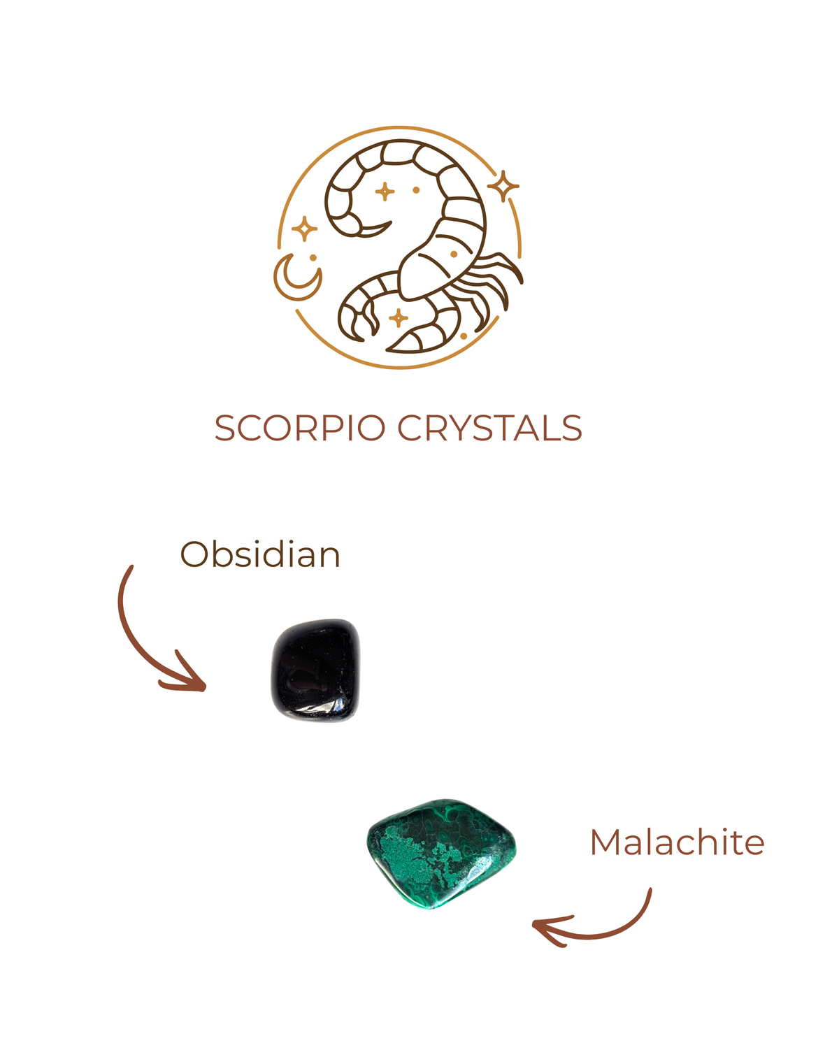 Scorpio candle — Midnight Alchemy