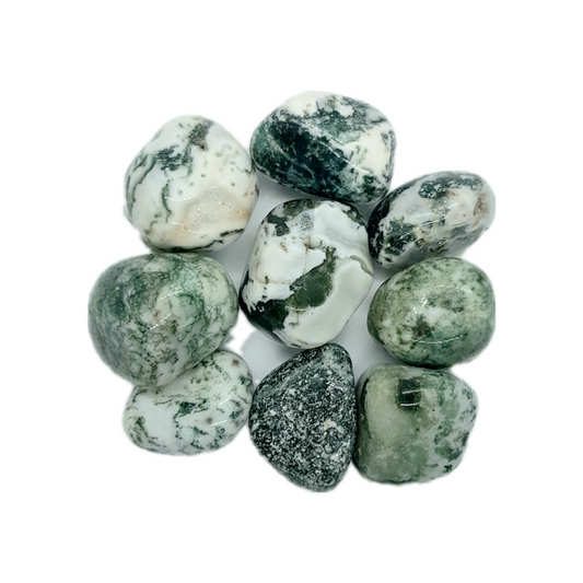 Tree Agate Large Tumbled Stone